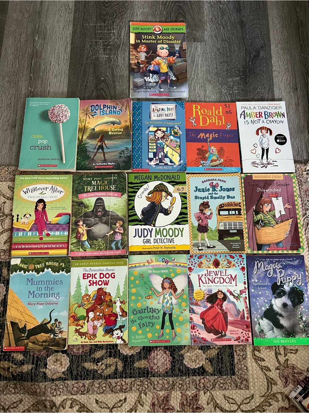 Kids Chapter Book Reading Lot